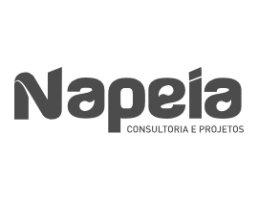 Napeia Consultoria e Projetos